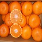 �ӂ邳�Ɣ[�� �F��s ��s�\�� �݂��� ���g���� ����������� 2L�T�C�Y ��5kg