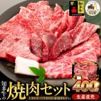ふるさと納税 南知多町 【生産直売】知多牛 響 焼肉セット 上カルビ、バラカルビ、赤身カルビなど合わせて400g(冷凍)