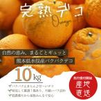 パクパクデコ10kg ご