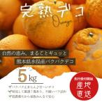パクパクデコ5kgバラ詰め