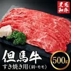 ふるさと納税 市川町 但馬牛経産牛「すき焼き用(肩・モモ)」500g いちかわ精肉店 010AA04N