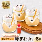 うみたて しぼりたてまほらプリン ほまれJr