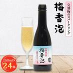 梅香泡 うめかほう 24本入