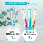 ヤクルト 薬用歯磨きセット