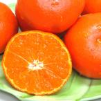 温室さぬき紅みかん 約1kg