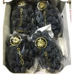 クイーンベリーA 約2kg