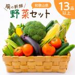 旬の新鮮野菜セット 13種以上