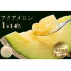 ふるさと納税 南房総市 千葉アクアメロン(マスクメロン)1.4kg以上1個入り mi0018-0002