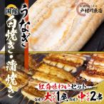 うなぎの白焼き大1匹 蒲焼き中2串 うなぎ