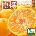 濃厚な味のとろける美味しさ 温州みかん 約5kg