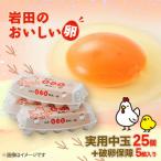 fu.... налог . восток . Iwata. .... яйцо практическое использование средний шар 25 шт + поломка яйцо гарантия 5 шт (10 штук входит ×3 упаковка )