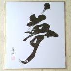 夢 色紙 書作品