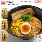 麺の極意 江差生ラーメン三昧 スタンダードBセット