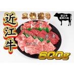 ふるさと納税 竜王町 近江牛焼肉セット 計600g ロース・赤身・バラ 各200g 盛り合わせ 食べ比べ 滋賀県