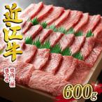 ふるさと納税 竜王町 近江牛　澤井牧場　焼肉厳選三種盛り合わせ　600g　K049