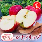 ふるさと納税 南箕輪村 2025年夏!りんご新品種【シナノリップ】約3kg 酸味と甘みのバランス抜群