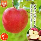 ふるさと納税 南箕輪村 2025年!信州のりんご【シナノスイート】約5kg
