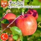 ふるさと納税 南箕輪村 2025年!信州のりんご【サンふじ】約5kg