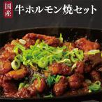 佐世保 牛ホルモン焼セット
