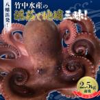 八幡浜発 竹中水産の浜茹で地蛸 三昧 2.5kg前後