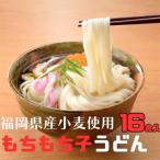フジギクもちもち子うどん 228g