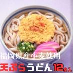 フジギク天ぷらうどん 242g