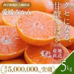 西宇和地区八幡浜産 愛媛みかん 5kg