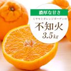 デコポンと同品種 濃厚柑橘 不知火 しらぬい 3.5kg