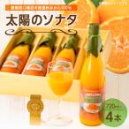 太陽のソナタ 4本入り