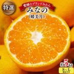 みなの共選 特選 みなの旧:媛美月 約5kg