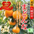 こんな柑橘初めてプルプル新食感 まどんな 約3kg
