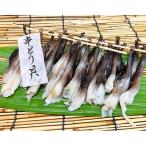 串とり貝4串
