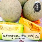 ふるさと納税 尾花沢市 尾花沢産 メロン 食べ比べセット(青・赤) 2025年産 kb-mlrbx2