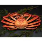 新湊産紅ズワイガニ 孫七タグ付き 約800g