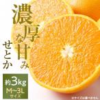 愛媛の高級柑橘の代名詞 せとか 約3kg入