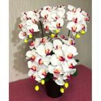 光触媒造花胡蝶蘭 5本立 ホワイトピンク