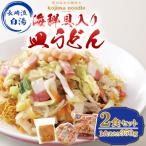 具入り皿うどん 2食セット