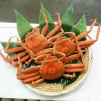 香箱がに大サイズ3尾 計約600g