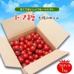 南アルプス市産フルーツトマト「トマ糖-太陽のめぐみ」1kg