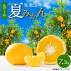 夏みかん7.2kg