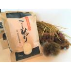 実生庵の近江米 コシヒカリ 5kg×1袋