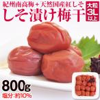 ふるさと納税 御坊市 しそ漬け梅干し(紀州南高梅)800g 大粒 3L以上 和歌山県産