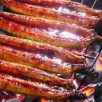 ふるさと納税 四万十町 うなぎ蒲焼き・特製塩うなぎ4本セット