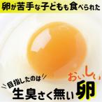ベジタブル鶏卵 茶卵 6個入×2パック入