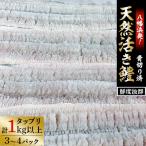 竹中水産の八幡浜発 骨切り鱧 1kg以上