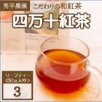 四万十紅茶 50g×3袋