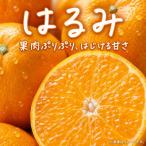 先行受付 果肉ぷりぷり 完熟はるみ5kg