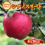ふるさと納税 南箕輪村 もぎたて『シナノスイート』りんご 約5kg