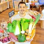 忍びの国の野菜セット 12品目以上