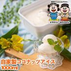 ふるさと納税 春日市 【春日市】フルーツソムリエが作った濃厚『優しいココナッツ』アイス